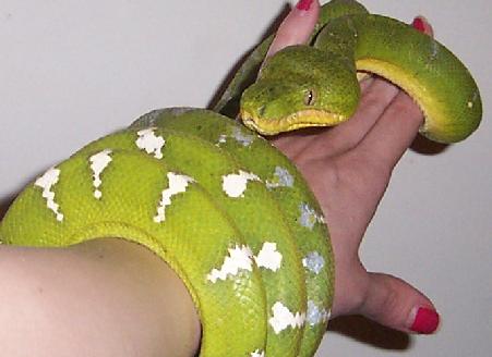 etb