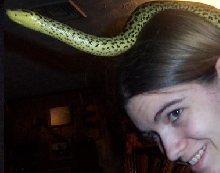 little conda