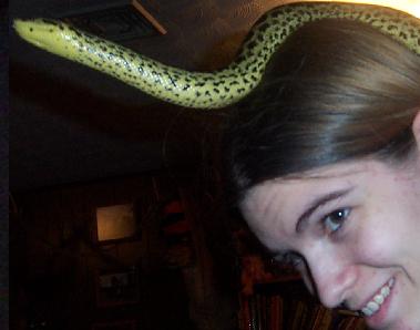 little conda