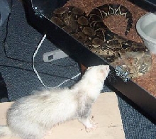simon meets maddy