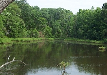 downs park