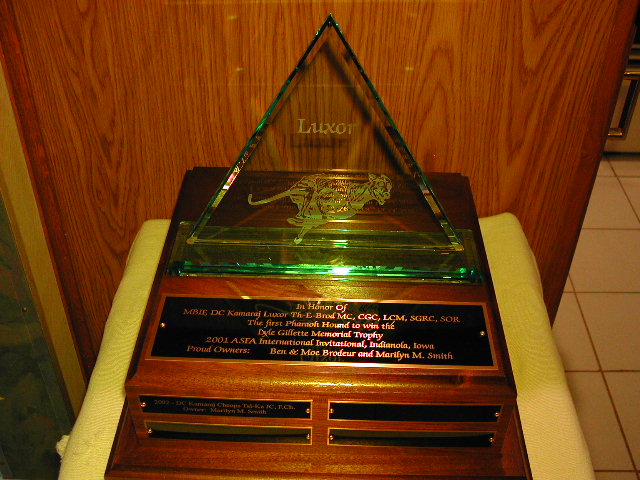 Luxor Trophy