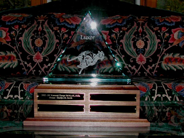 Luxor Trophy 2