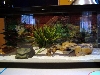 Talia's viv 1
