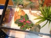 tilia's viv