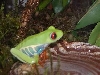 My Red Eye 2