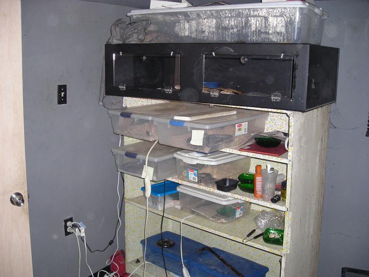 this is my setup