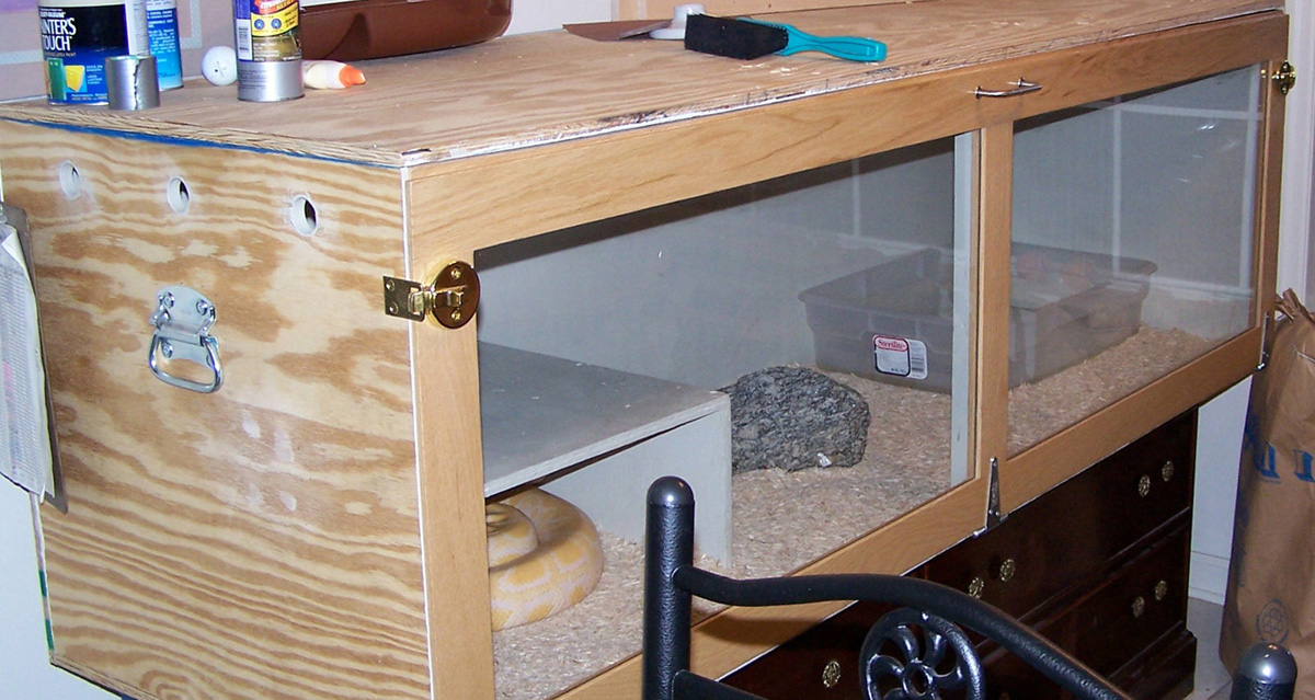 Strangler's new cage