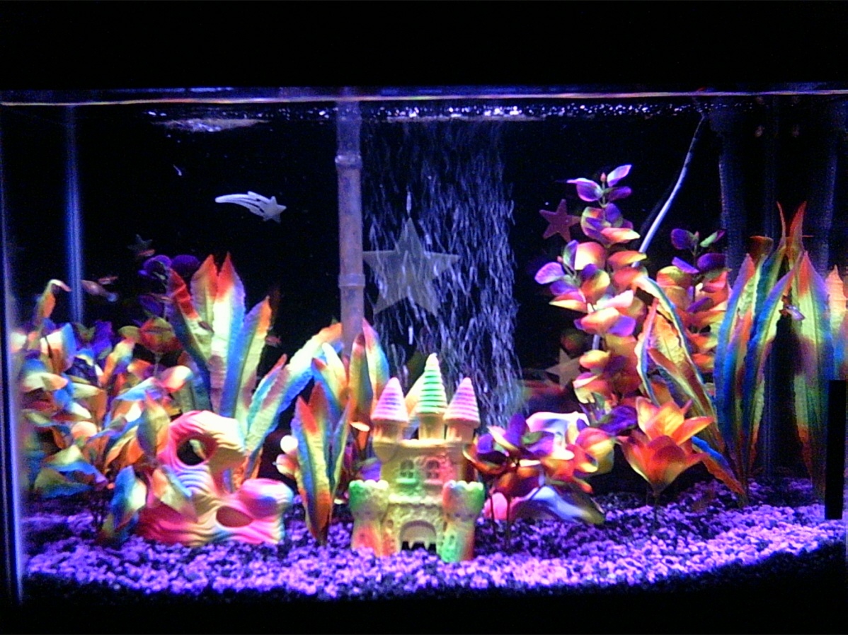 Daughter's black light reactive 20G