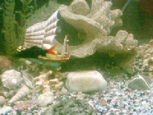 my red tail