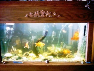 tank needs a cleanin i think