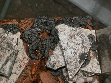 parent's and babies