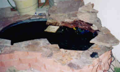 My First Pond