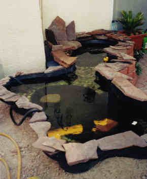 Another View