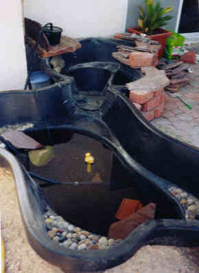 How a 60 gal pond became a 185 gal pond