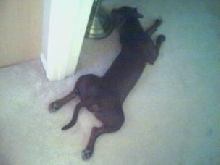 Passed out