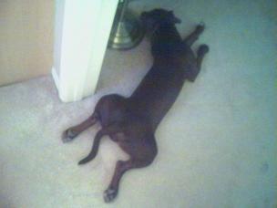Passed out