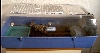 Cane Toad Setup