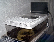setup