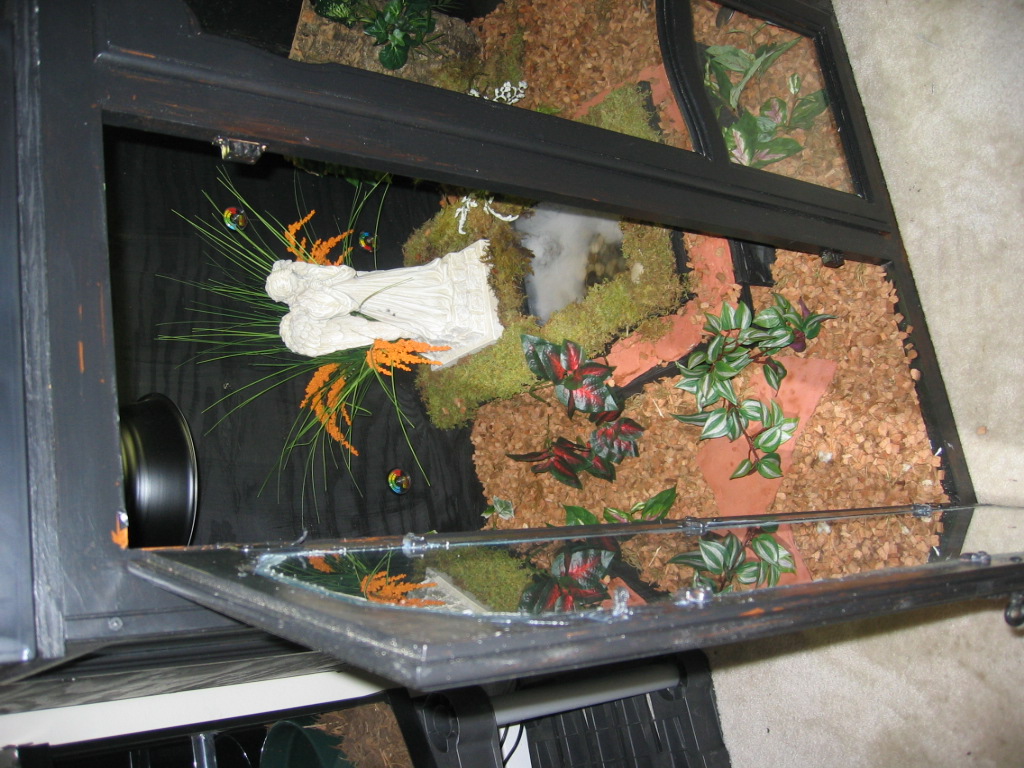 more of angels cage