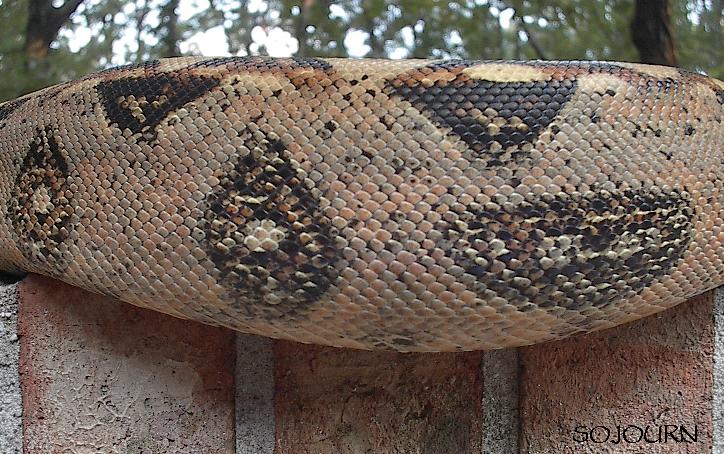 Keeper Detail