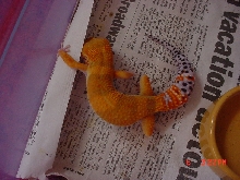 Camera Shy