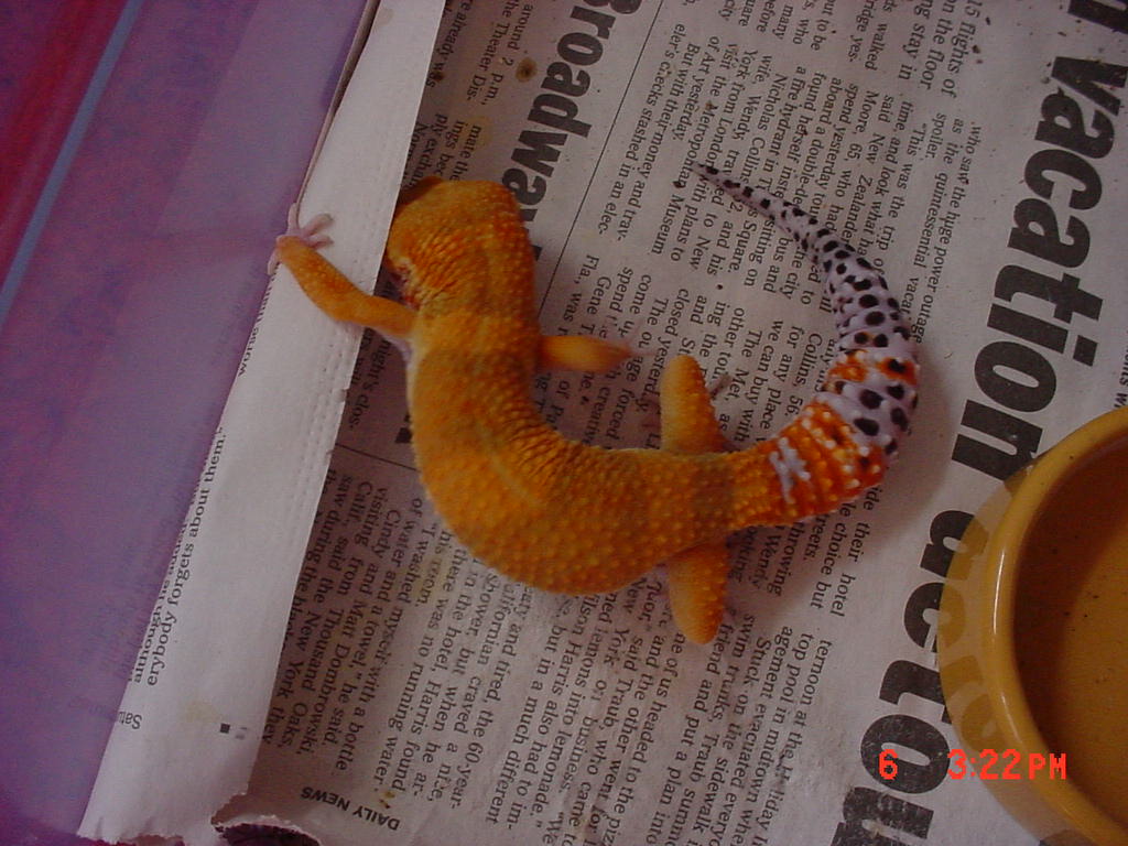 Camera Shy