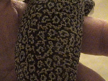 Timor monitor pattern