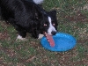 SADIE 1