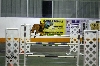 novice jww triple lay