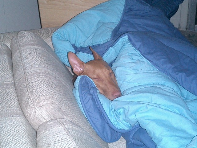 Atreyu the Spoiled brat
