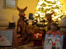 Christmas 2009