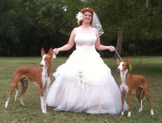 Lexi's Wedding