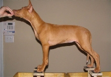 Ulala stack 11wks (1)