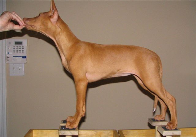 Ulala stack 11wks (1)