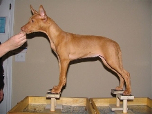 Ulala stack 11wks (2)
