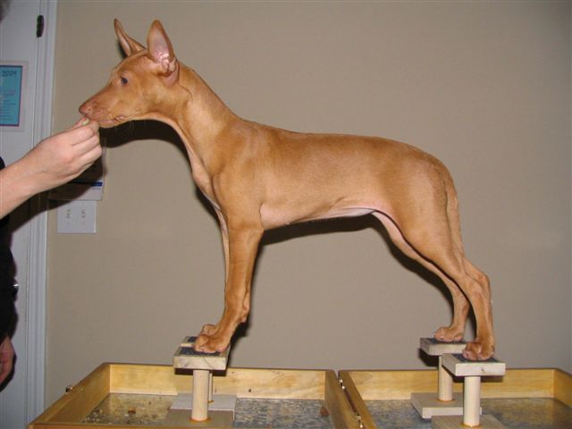 Ulala stack 11wks (2)