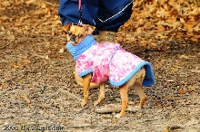Bridget Jacket 1