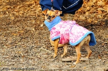 Bridget jacket 2