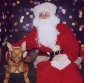 Atreyu's 1st christmas(2)