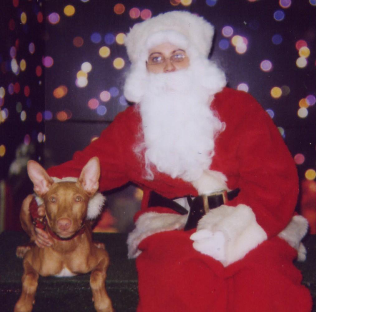 Atreyu's 1st christmas(2)