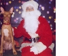 Atreyu's 1st Christmas