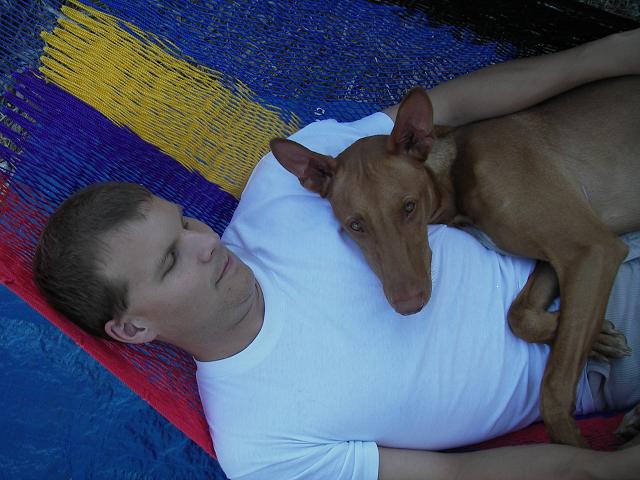 Trey in hammock
