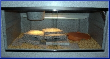 Vision332 enclosure