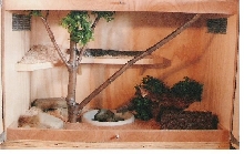 Someones cage??