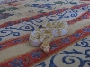 albino ball python