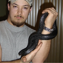 Me and Indigo