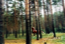 Lost
