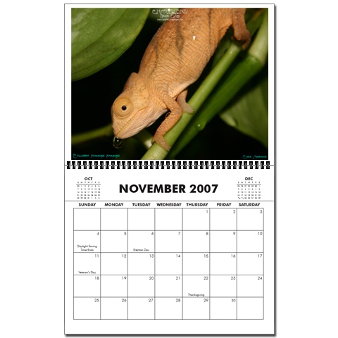 Calendar