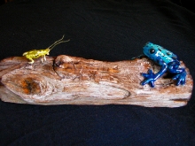 blue poison dart frog and lunch